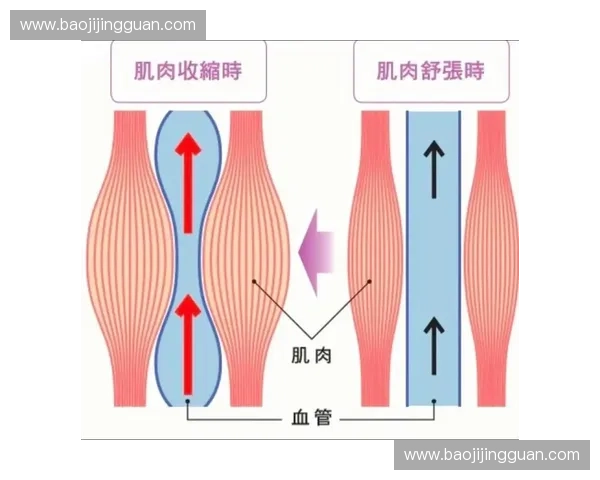 聚焦核心力量训练,全面提升身体稳定性与运动表现的科学方法 聚焦核心力量训练,全面提升身体稳定性与运动表现的科学方法